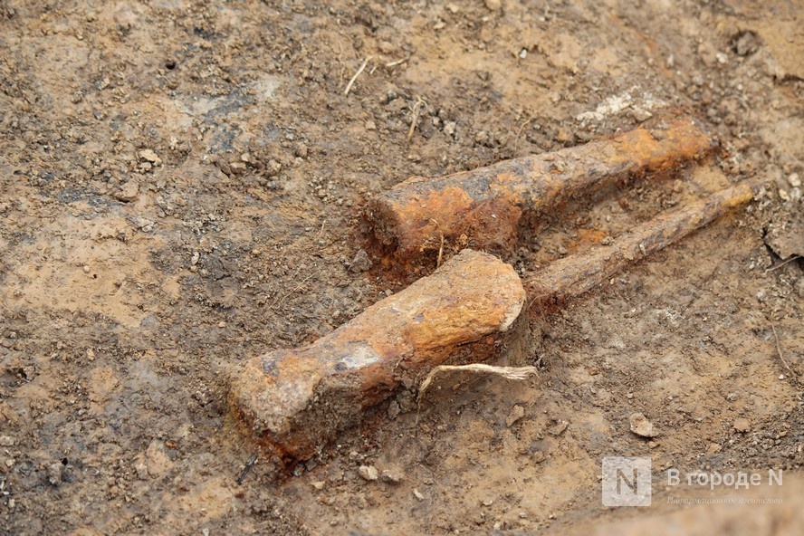 Проклятье мужчины с копьем: что обнаружили археологи под Вачей - фото 5