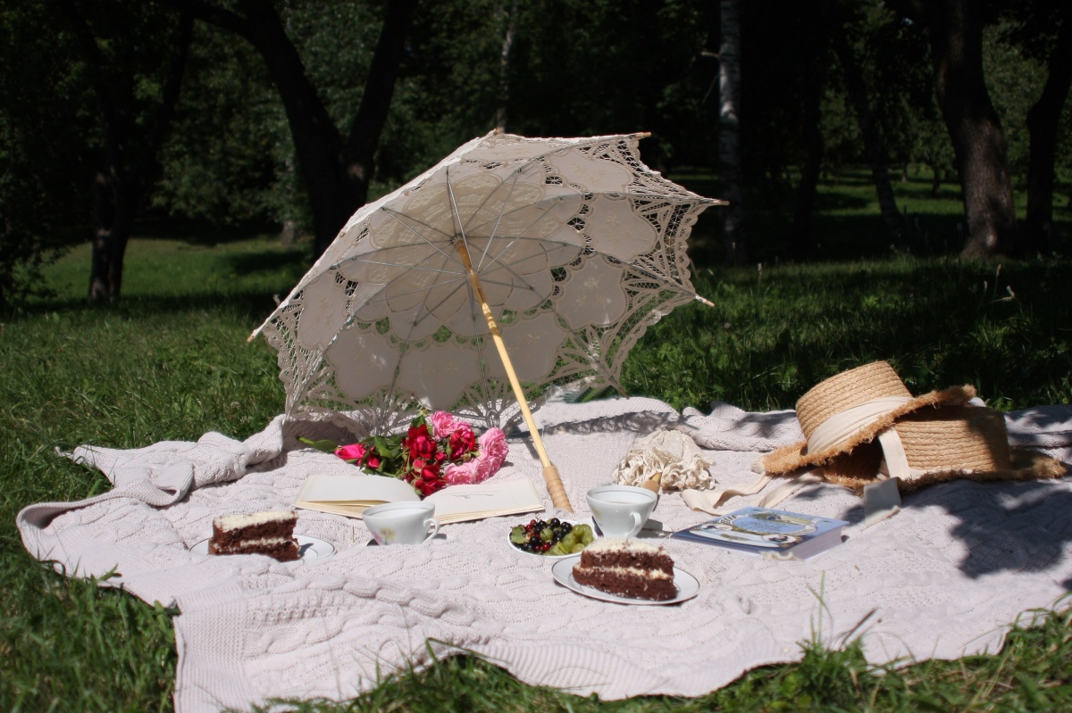 «Сезон пикников» открывается в Большом Болдине с 26 июля - фото 1