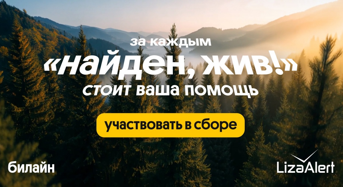 В 2025 году спасательный отряд &laquo;ЛизаАлерт&raquo; при поддержке Билайна нашел и спас 422 пропавших нижегородцев - фото 1