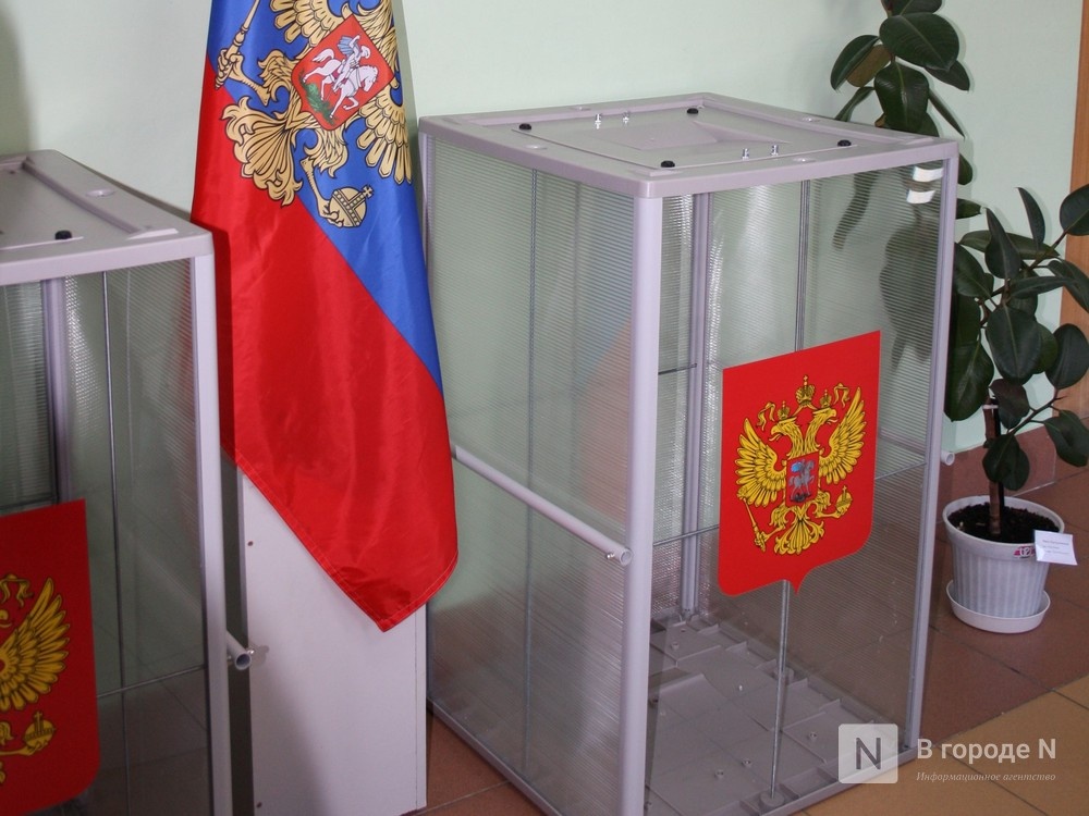 Как Нижегородская область готовится к выборам президента: цифры и факты - фото 1
