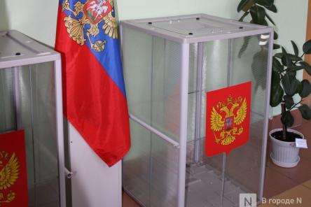 Как Нижегородская область готовится к выборам президента: цифры и факты