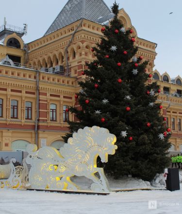 Пингвины, карусель и лунный каток: карта самых атмосферных новогодних локаций Нижнего Новгорода - фото 28