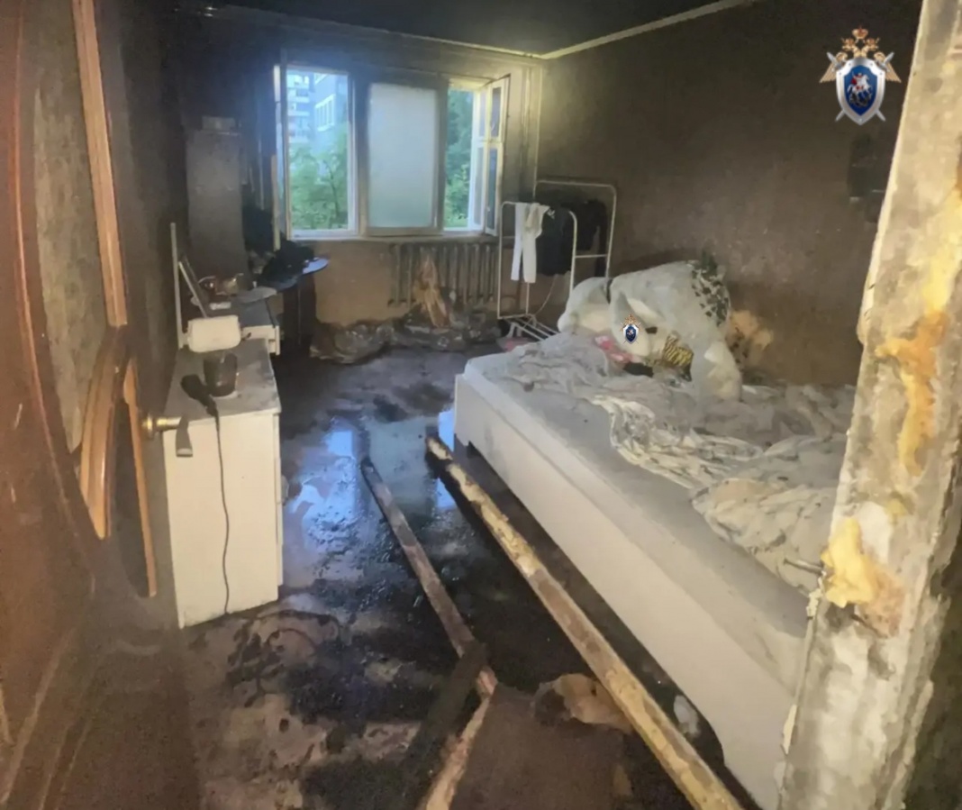 Следователи заинтересовались гибелью мужчины на пожаре в Нижнем Новгороде - фото 1