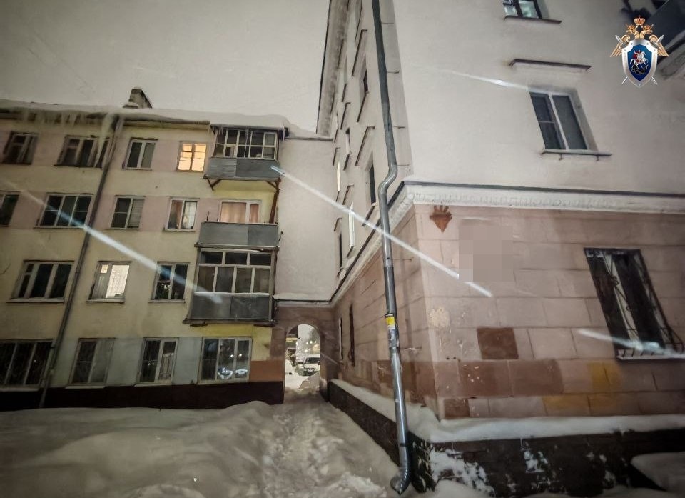 Инженера будут судить за падение наледи на ребенка в Нижнем Новгороде - фото 1