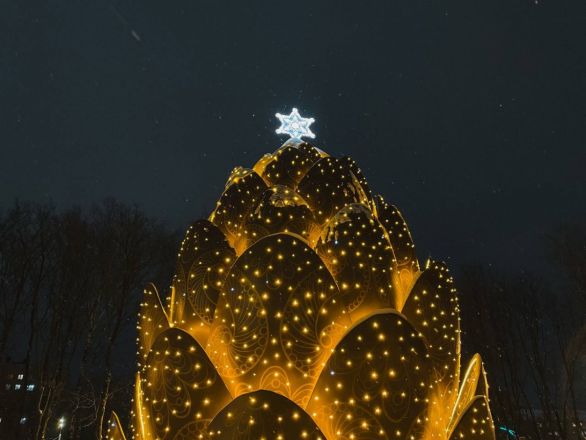 Заснеженные парки и &laquo;пряничные&raquo; домики: что посмотреть в Нижнем Новгороде зимой - фото 20