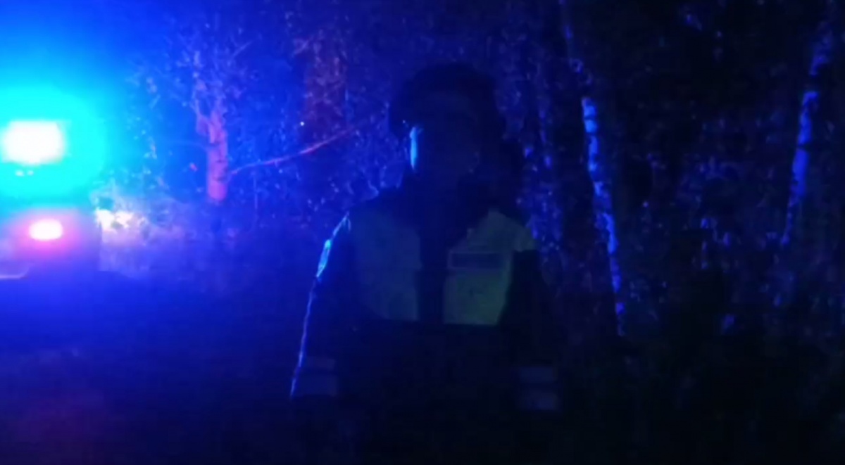 Водитель легковушки погиб, вылетев в кювет в Нижегородской области - фото 1