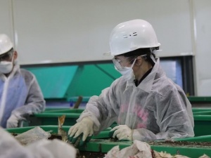 Не имеющий аналогов в России мусоросортировочный комплекс построят в Нижегородской области