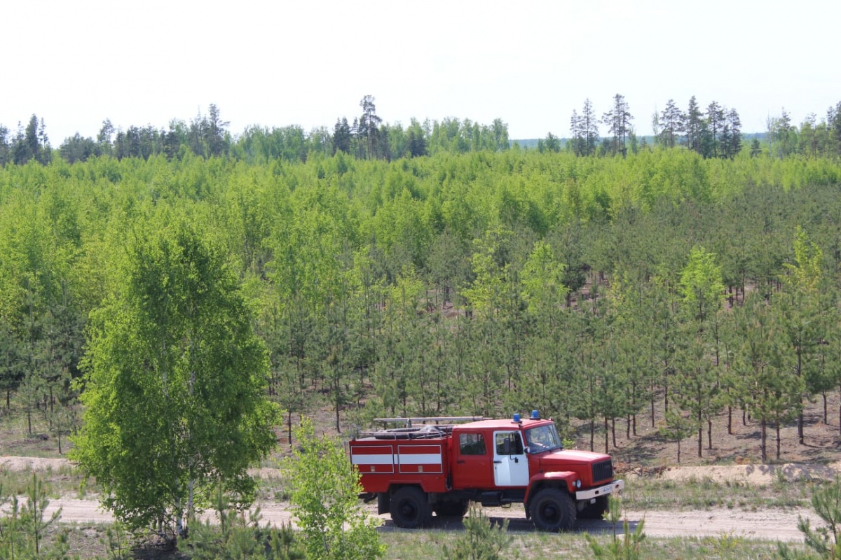 Противопожарный режим нижегородская область