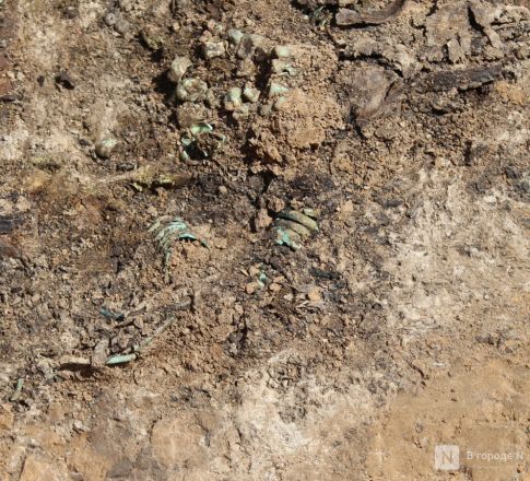 Могилы коней и старинные монеты: фоторепортаж с археологических раскопок в Нижегородской области - фото 140