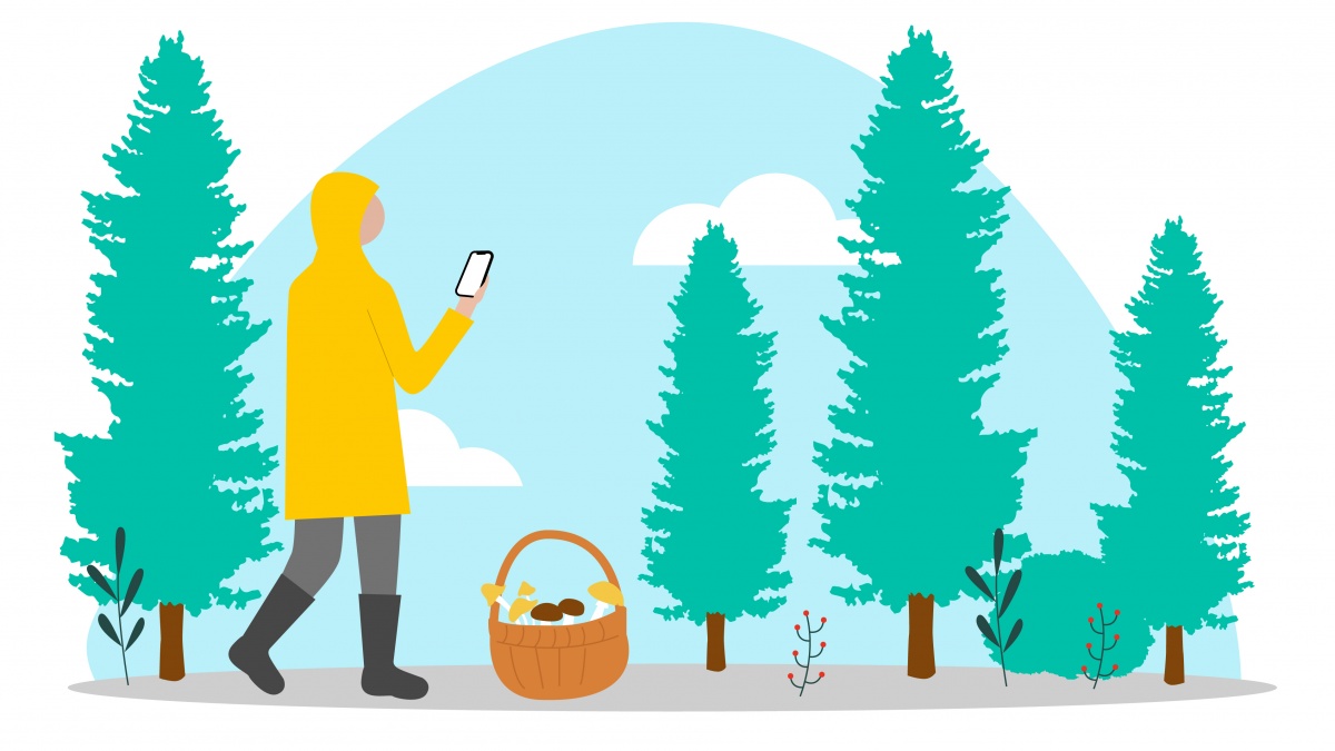 Как собраться в лес, чтобы благополучно вернуться: 10 простых правил от &laquo;ЛизаАлерт&raquo; и Билайна - фото 1