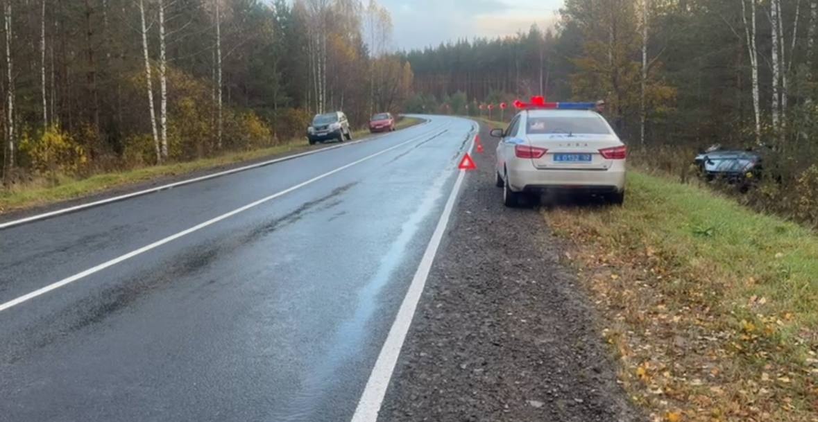 Двое подростков пострадали в ДТП с &laquo;перевертышем&raquo; в Нижегородской области - фото 1