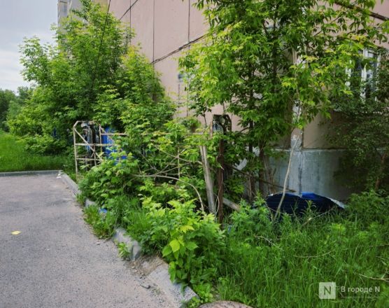 «Строили для военных». Две жуткие заброшки в центре Нижнего Новгорода пугают людей — что там происходит - фото 44