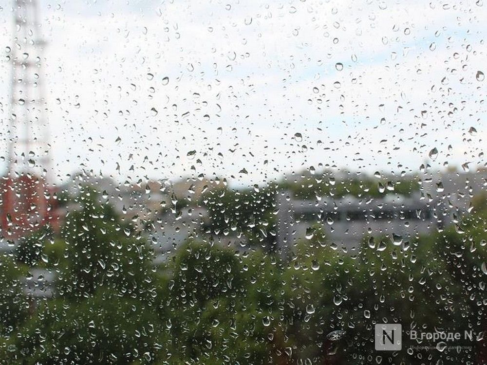 Теплая и дождливая погода сохранится в Нижнем Новгороде до конца недели - фото 1