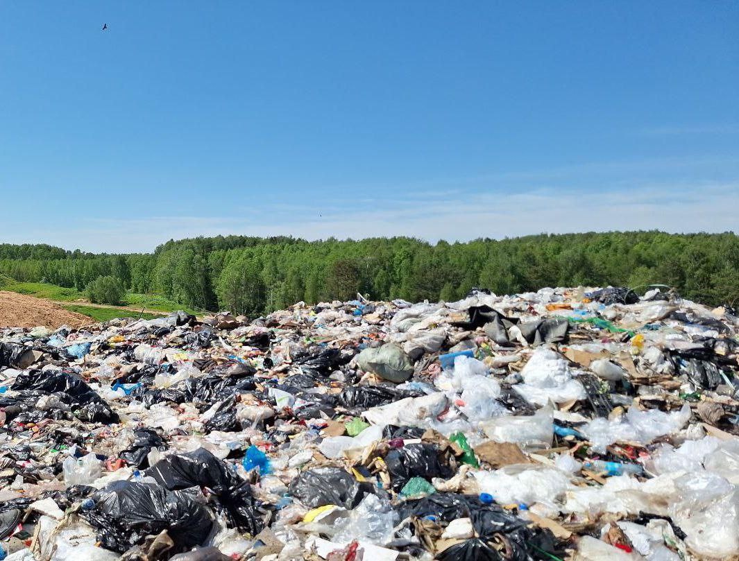 Два мусорных полигона в Нижегородской области хотят закрыть из-за нарушений - фото 1
