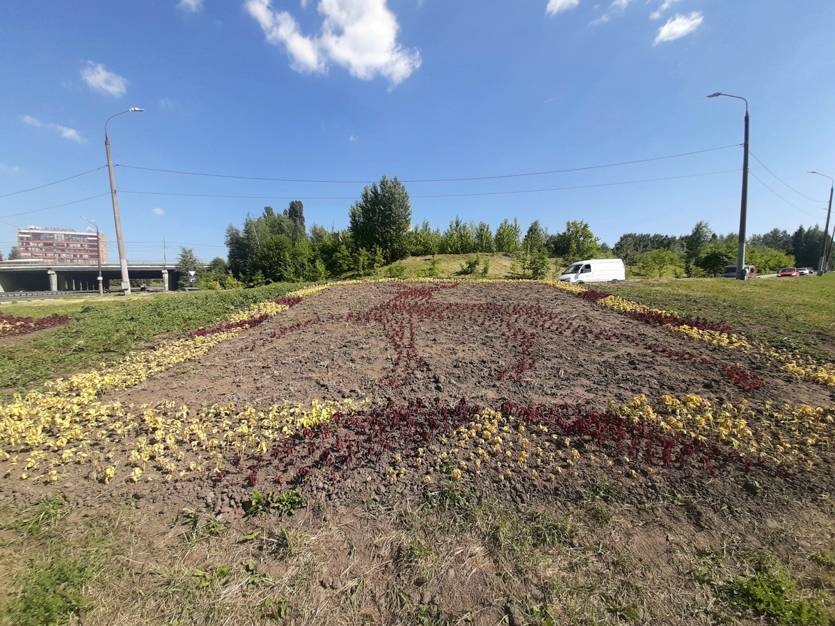 Более 10 тысяч цветов задействовали для создании фигуры оленя в Приокском районе - фото 1