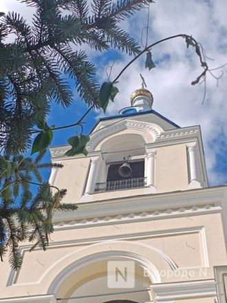 Пурех в Нижегородской области: путешествие по следам Дмитрия Пожарского и народных мастеров - фото 55