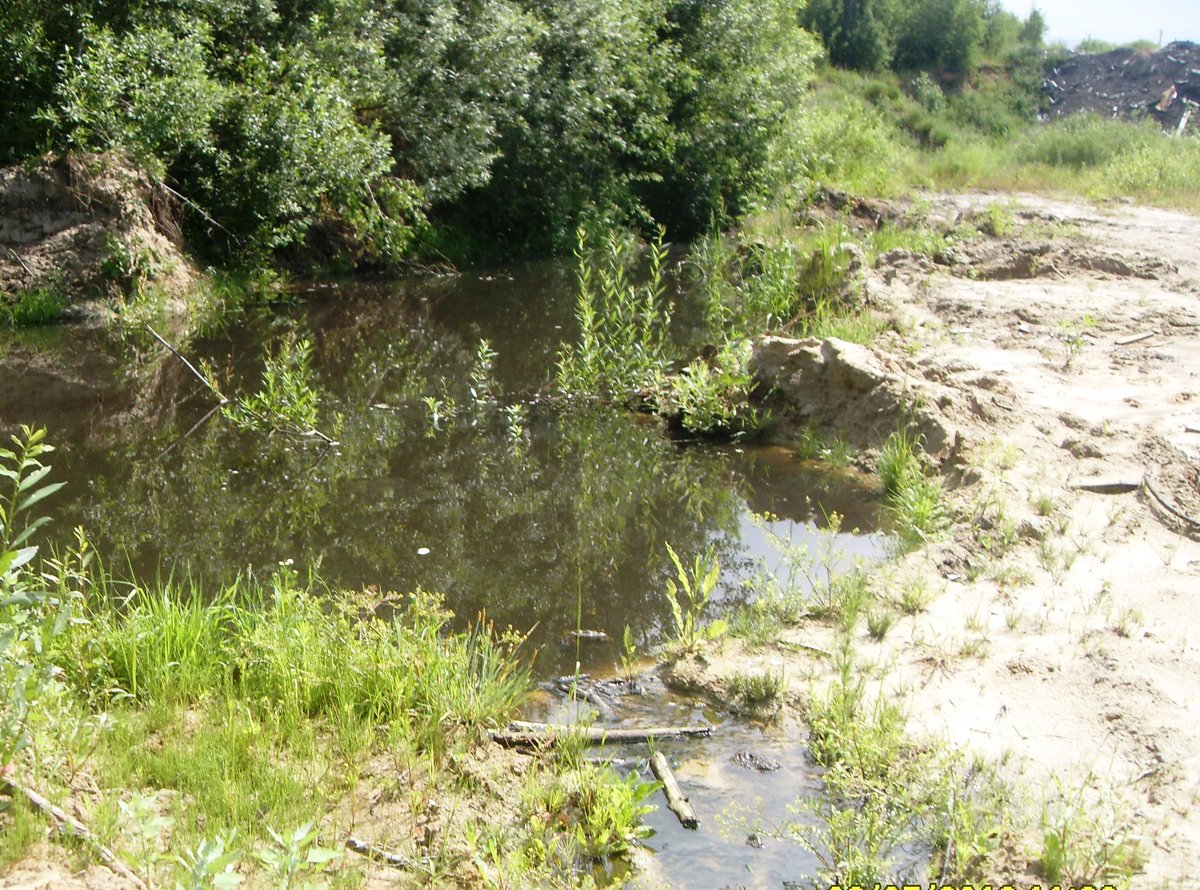 Посёлок пруды Краснобаковского района Нижегородской области