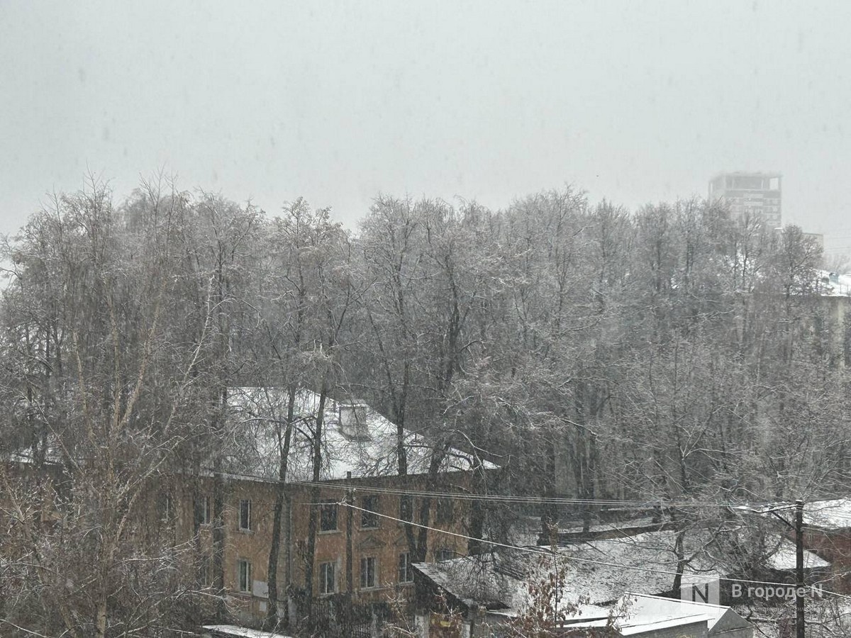 Нижегородские энергетики готовятся к работе в условиях непогоды - фото 1