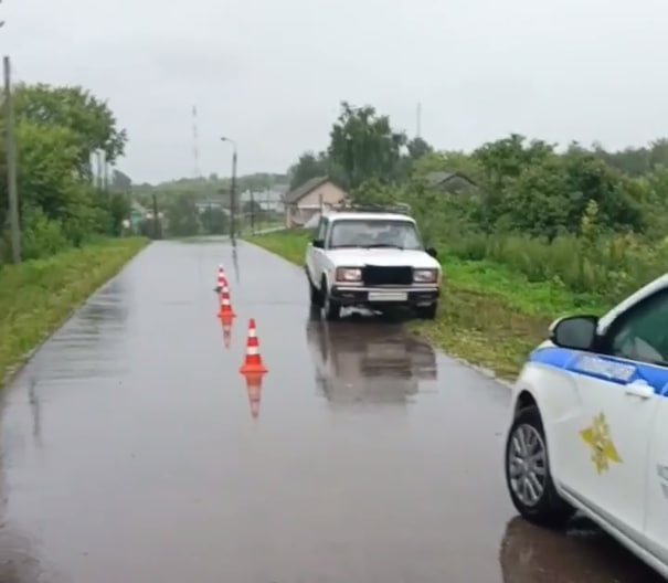 Пьяный водитель сбил ребенка и взрослого в Нижегородской области - фото 1